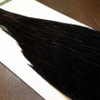 画像4: 【WHITING】Hebert PRO Grade Cape Dyed Black No.2 (4)