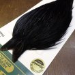 画像3: 【WHITING】Hebert PRO Grade Cape Dyed Black No.2 (3)