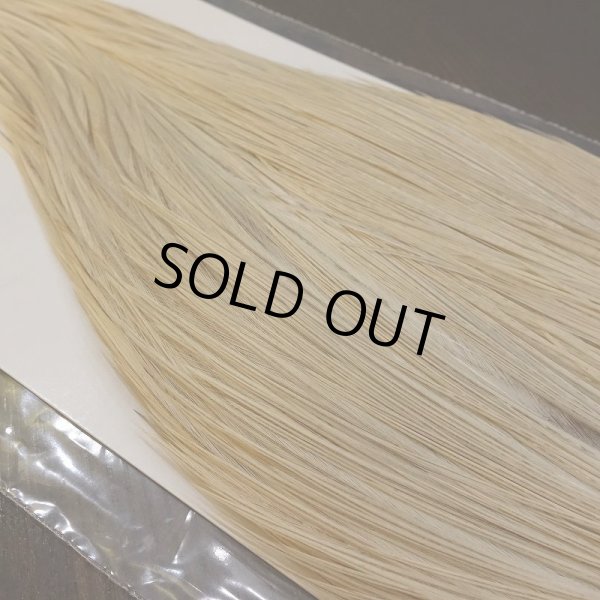 画像4: 【WHITING】Hebert Silver Grade Cape - UNIQUE VARIANT (4)