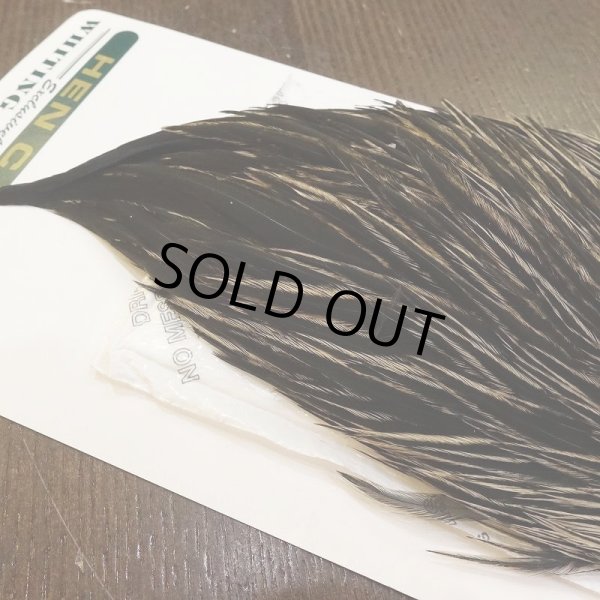 画像4: 【WHITING】Hebert Hen Cape - Silver Badger (4)