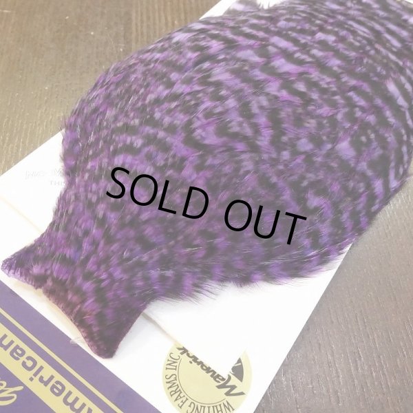 画像4: 【WHITING】American Hen Cape - GRIZZLY (4)