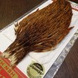 画像3: 【WHITING】Hen Cape - BARRED DARK GINGER No.2 (3)