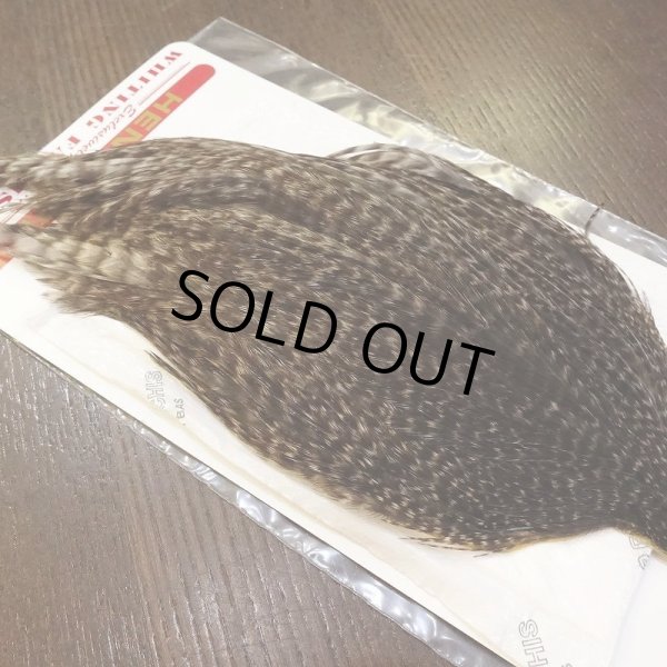 画像4: 【WHITING】Hen Cape - UNIQUE VARIANT (4)