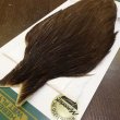 画像3: 【WHITING】Hebert Hen Cape - DARK BROWN DUN No.2 (3)