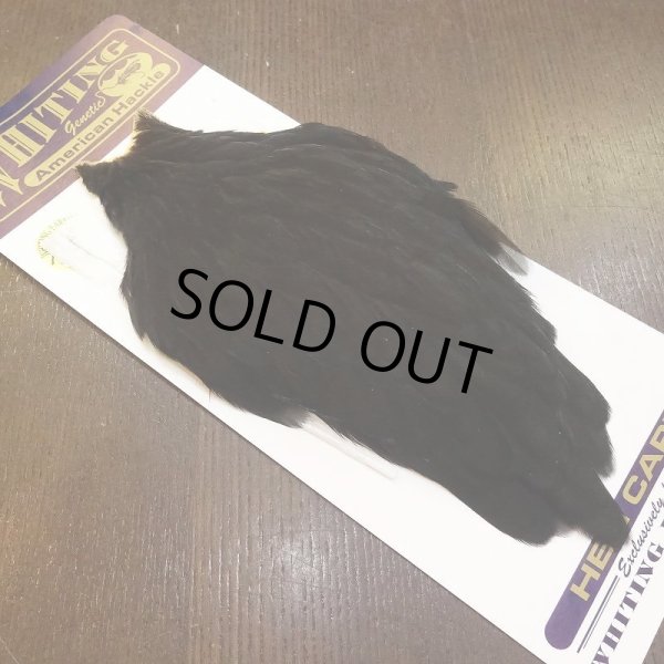 画像2: 【WHITING】American Hen Cape - BLACK (2)