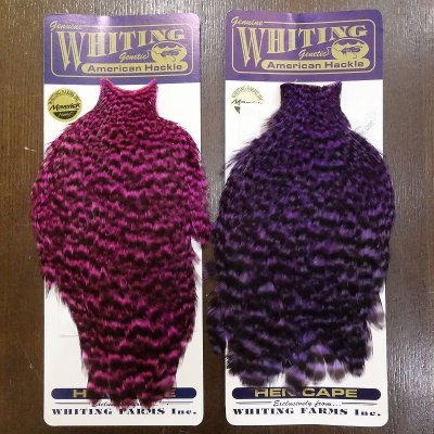 画像2: 【WHITING】American Hen Cape - GRIZZLY