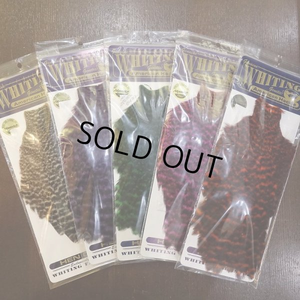 画像1: 【WHITING】American Hen Cape - GRIZZLY (1)