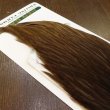 画像4: 【WHITING】Hebert Hen Cape - DARK BROWN DUN No.2 (4)