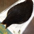 画像3: 【WHITING】Hebert Hen Cape - DARK BROWN DUN No.1 (3)