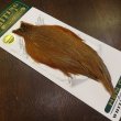 画像2: 【WHITING】Hebert Hen Cape - Rusty Dun (2)