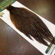 画像2: 【WHITING】Hebert Hen Cape - DARK GREY DUN No.1 (2)