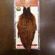 画像1: 【WHITING】Hen Cape - BARRED DARK GINGER No.1 (1)