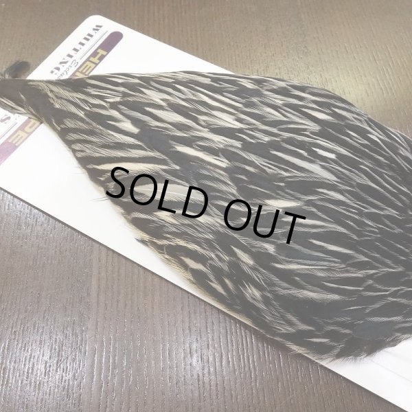 画像4: 【WHITING】American Hen Cape BLACK LACED WHITE (4)