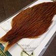 画像3: 【WHITING】Hebert Hen Cape - Brown No.2 (3)