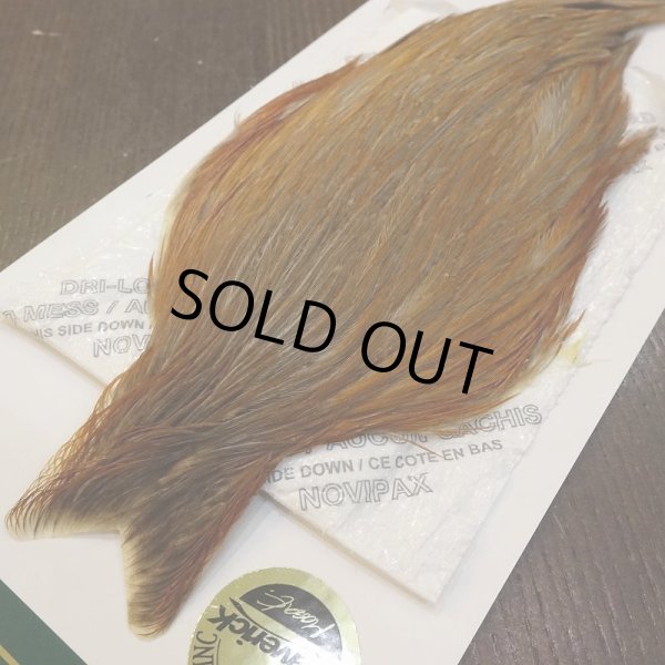 画像3: 【WHITING】Hebert Hen Cape - Rusty Dun (3)