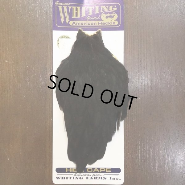 画像1: 【WHITING】American Hen Cape - BLACK (1)