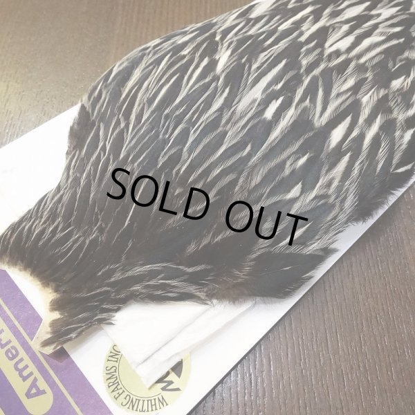 画像3: 【WHITING】American Hen Cape BLACK LACED WHITE (3)