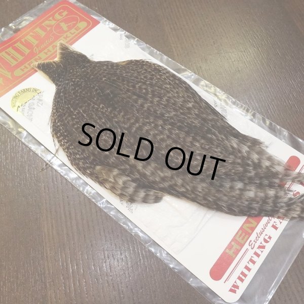 画像2: 【WHITING】Hen Cape - UNIQUE VARIANT (2)