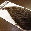 画像4: 【WHITING】American Hen Cape - NATURAL DARK DUN (4)