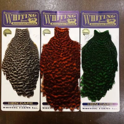 画像1: 【WHITING】American Hen Cape - GRIZZLY