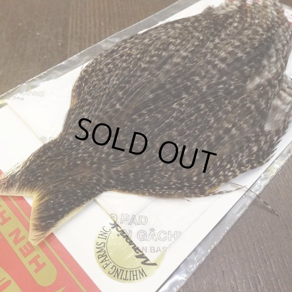 画像3: 【WHITING】Hen Cape - UNIQUE VARIANT (3)