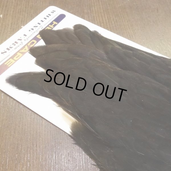 画像4: 【WHITING】American Hen Cape - BLACK (4)