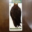 画像1: 【WHITING】Hebert Hen Cape - Brown No.3 (1)