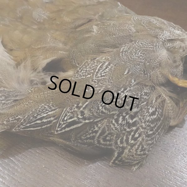 画像4: 【CANAL】SPECKLED PHEASANT BODY (4)