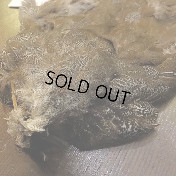 画像3: 【CANAL】SPECKLED PHEASANT BODY (3)