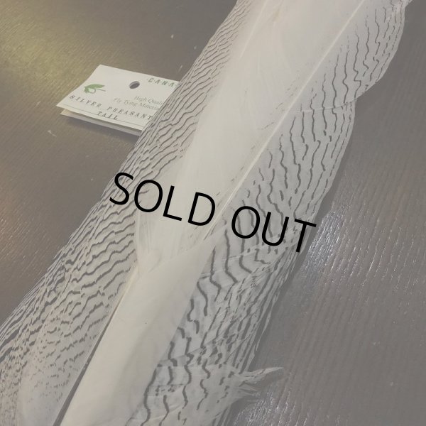 画像3: 【CANAL】Silver Pheasant コンプリートテール (3)