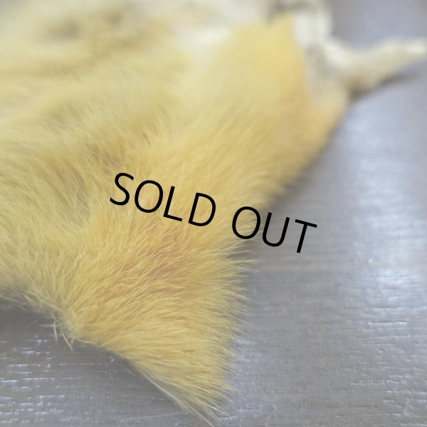 画像2: 【D】キテン マスク (2)