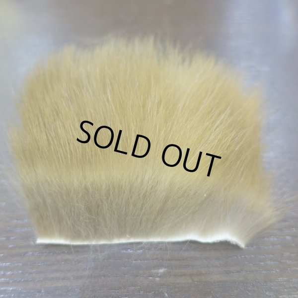 画像2: 【D】キテン　ボディファー (2)