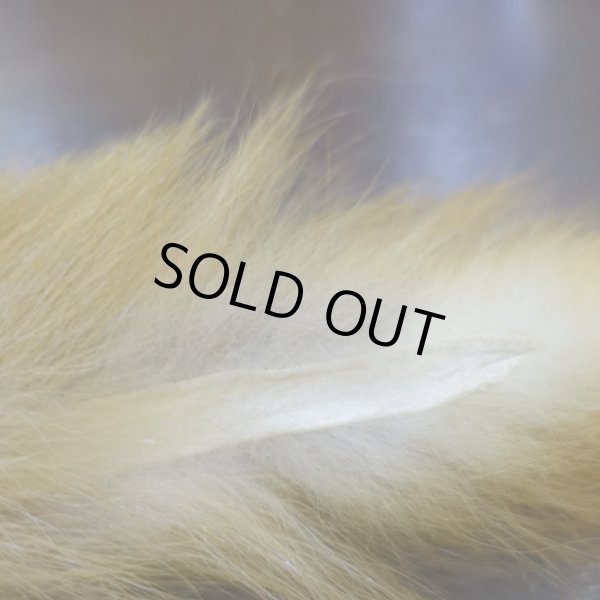 画像3: 【D】キテン テール (3)