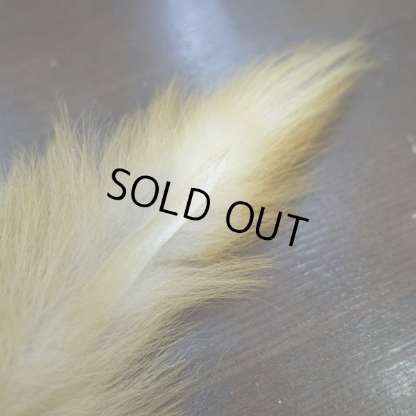 画像2: 【D】キテン テール (2)