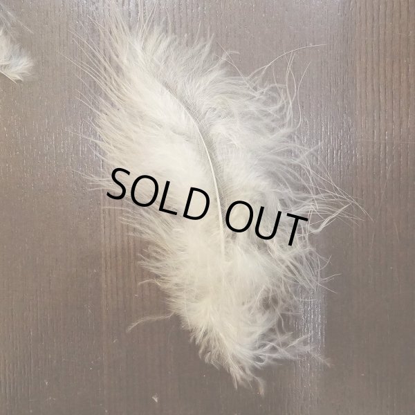 画像2: 【Nature'sSpirit】プライムマラブー (2)