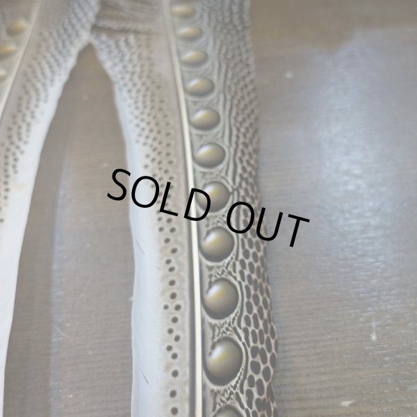 画像4: 【D】アーガスフェザント ウイングクイルペア Mサイズ (4)