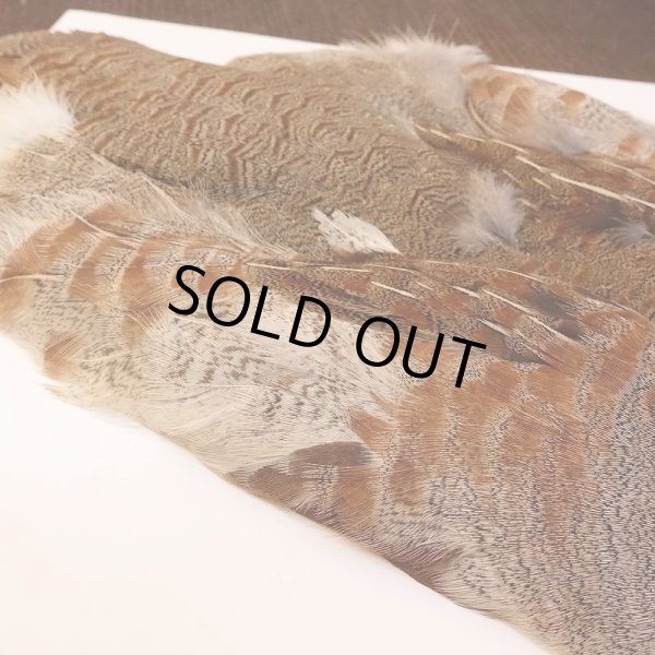 画像3: 【ANGLE】Partridge Complete Skin EXT #1(ウィング無) (3)