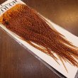 画像2: 【KEOUGH】GRIZZLY SADDLE HACKLE #2 (2)