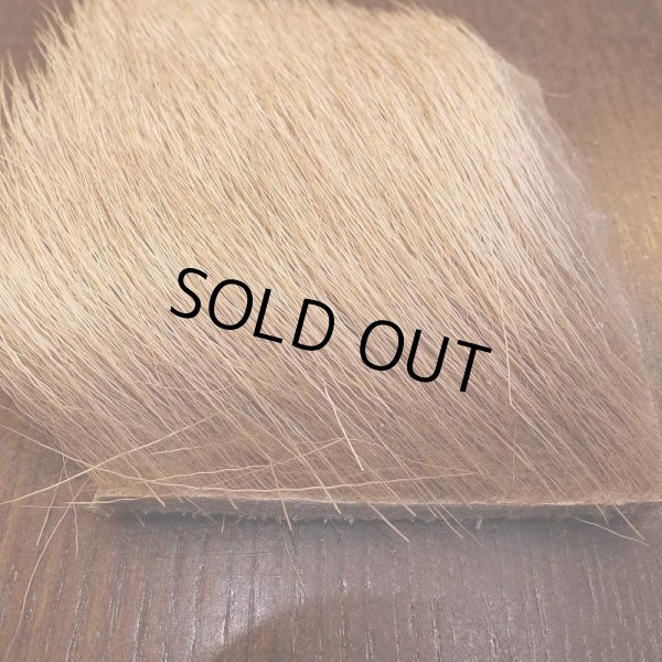 画像3: 【RMD】Natural BULL ELK HAIR (3)