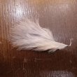 画像5: 【ANGLE】MARABOU SUPER (5)