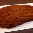 画像4: 【WHITING】High & Dry ROOSTER Cape - DYED BROWN No.1 (4)