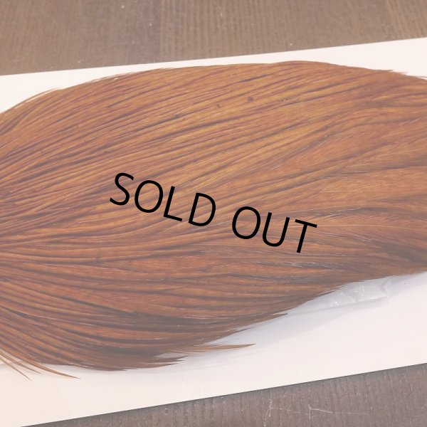 画像4: 【WHITING】High & Dry ROOSTER Cape - DYED BROWN No.1 (4)