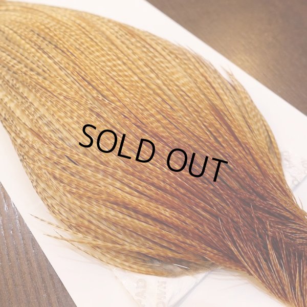 画像3: 【Whiting】ROOSTER CAPE PRO Grade - BARRED DK GINGER (3)