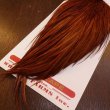 画像5: 【Whiting】ROOSTER CAPE Bronze Grade - DYED BROWN No.1 (5)