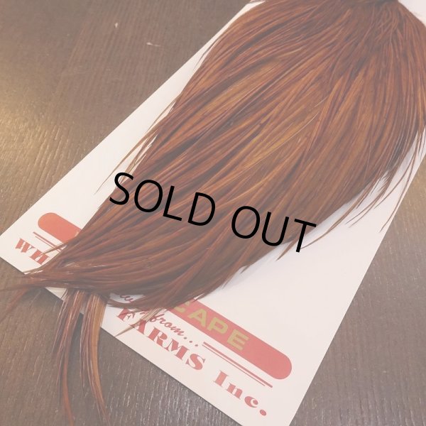 画像5: 【Whiting】ROOSTER CAPE Bronze Grade - DYED BROWN No.1 (5)