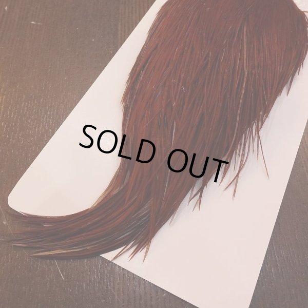 画像5: 【WHITING】High & Dry ROOSTER Cape - BROWN No.1 (5)