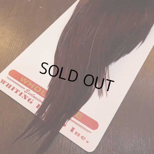 画像5: 【Whiting】ROOSTER CAPE Bronze Grade - DYED COACHMAN BROWN No.3 (5)