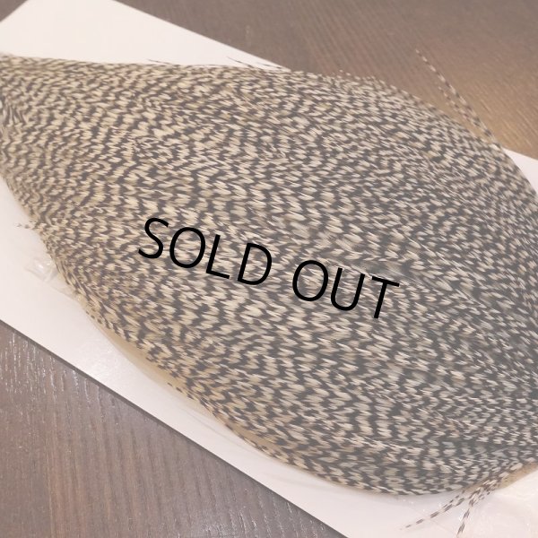 画像3: 【WHITING】High & Dry ROOSTER Cape - Grizzly No.2 (3)