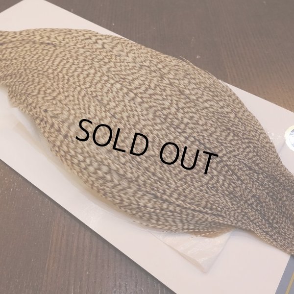 画像3: 【WHITING】High & Dry ROOSTER Cape - DUN GRIZZLY No.1 (3)