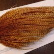 画像4: 【WHITING】High & Dry ROOSTER Cape - BARRED DARK GINGER No.1 (4)